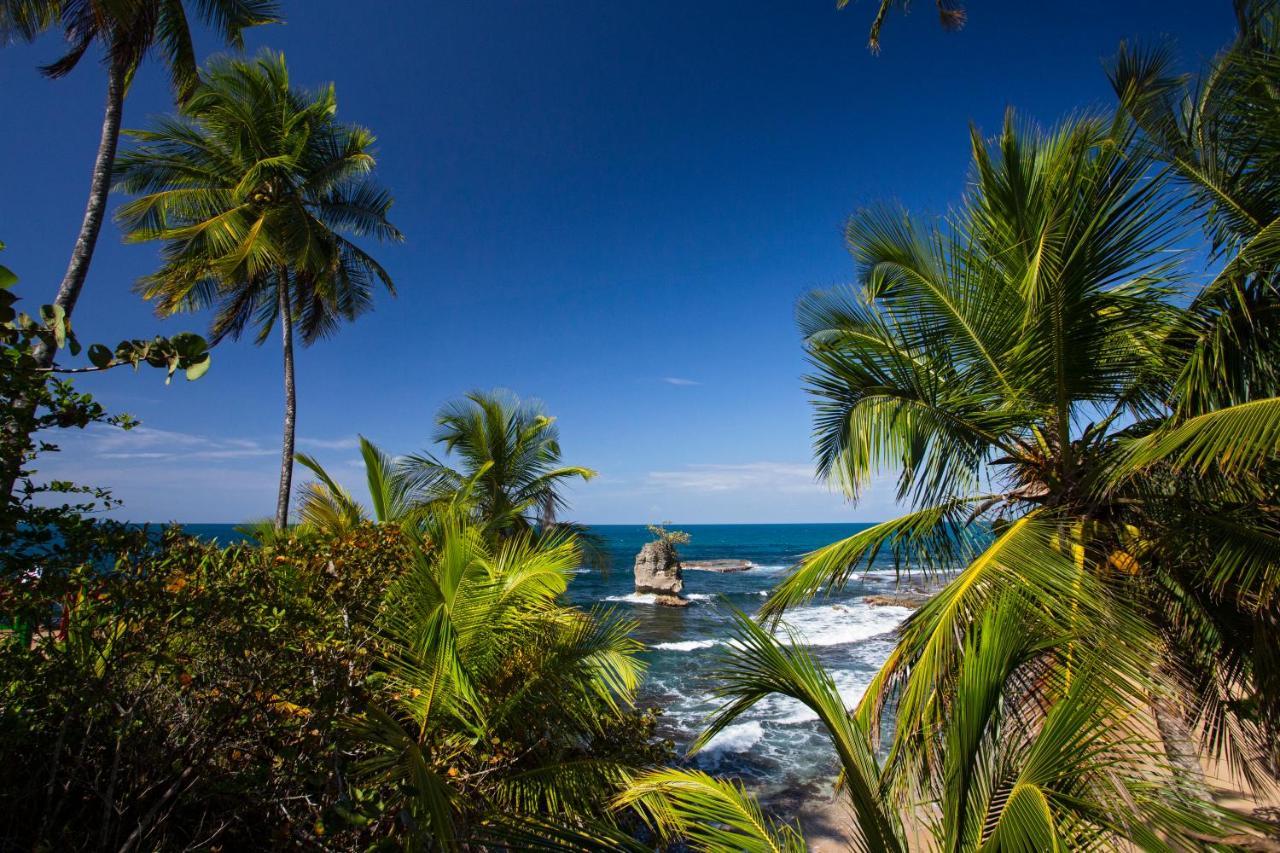Manzanillo Caribbean Resort Puerto Viejo de Talamanca 外观 照片