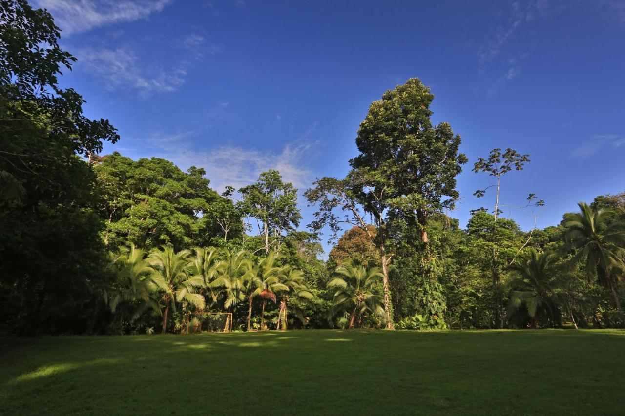 Manzanillo Caribbean Resort Puerto Viejo de Talamanca 外观 照片