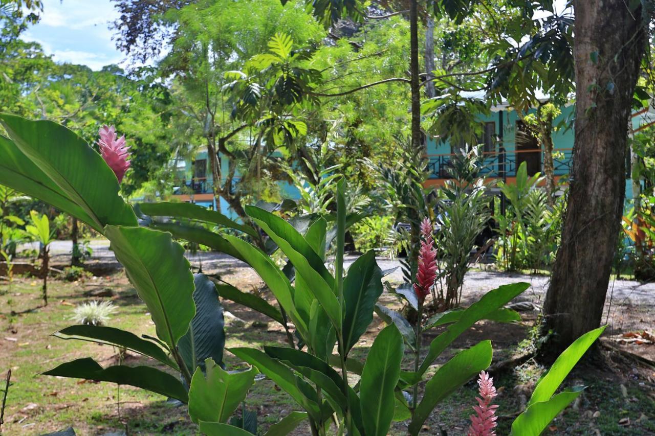 Manzanillo Caribbean Resort Puerto Viejo de Talamanca 外观 照片